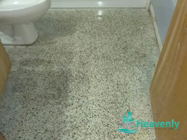 Terrazzo Installation Service West Palm Beach